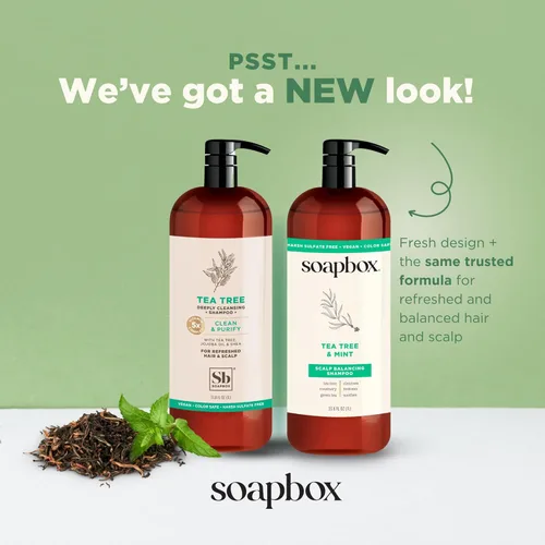 Miniatura 2 de Set de champú y acondicionador de aceite de árbol de té Soapbox, equilibrado para el cuero cabelludo con aceite de árbol de té, aceite de jojoba