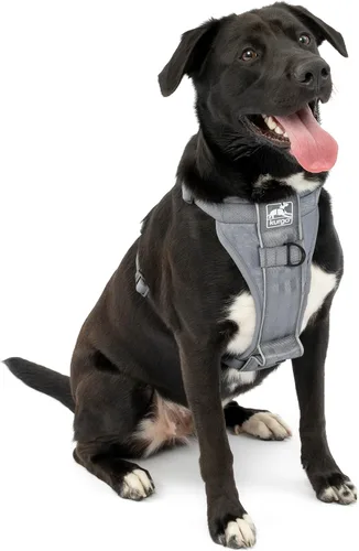 Miniatura 5 de Kurgo Tru-Fit - Arnés inteligente para caminar para perros, ajuste cómodo, arnés ajustable, reflectante para mascotas, liberación rápida