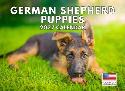Miniatura 121 de Calendario de pared mensual 2025 Great Dane de 12 meses, fabricado en Estados Unidos