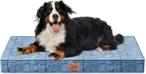 Miniatura 95 de Cama ortopédica de felpa para perros y cachorros medianos, camas impermeables para perros de 30 x 20 pulgadas con funda extraíble lavable, tapete