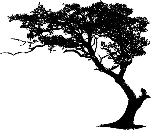 Calcomanía de pared para sombra de árbol de 6 pies de alto (color negro) 72 pulgadas de alto x 85 pulgadas de ancho. (inclinado a la izquierda) para