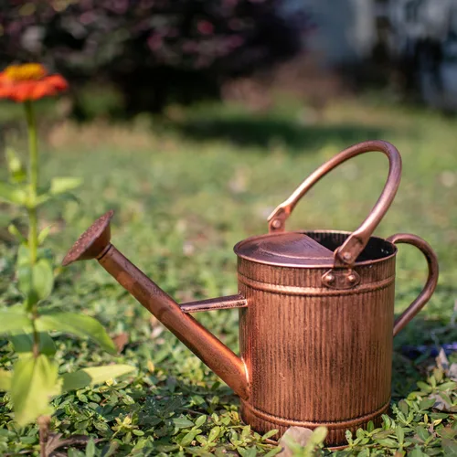 Miniatura 6 de Regadera de 1 galón, regadera de cobre, lata de agua de metal con boquilla extraíble, lata de agua perfecta para plantas en interiores y exteriores