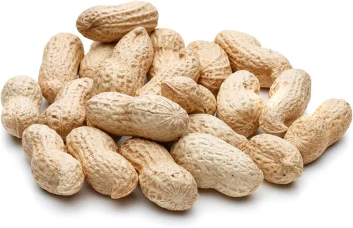 Home and Country USA Cacahuetes crudos para alimentación silvestre (10 libras): nuestros cacahuetes en cáscara son el alimento ideal para atraer