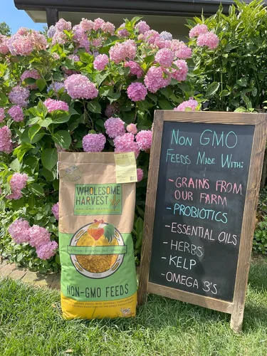 Miniatura 5 de Alimento para potbelly y mini cerdo sin OMG, 12% de proteína para cerdos maduros, fortificado con vitaminas A, D, E, minerales y algas, bolsa de 40