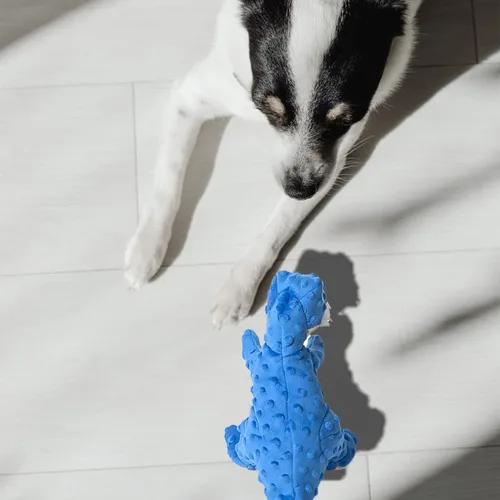 Miniatura 6 de DODODOLA Juguetes para Perros Juguete Azul de Dinosaurio para Perros Animales de Peluche Juguete para Masticar de Felpa Chillón Juguetes