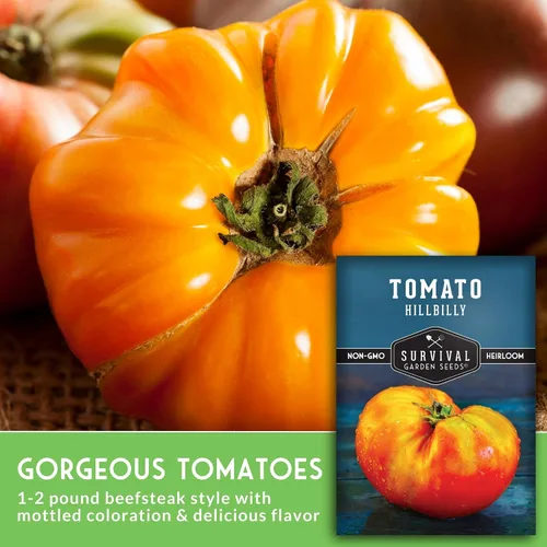 Miniatura 3 de Survival Garden Seeds - Semilla de tomate Hillbilly para plantar - 2 paquetes con instrucciones para plantar y cultivar tomates de hoja de papa