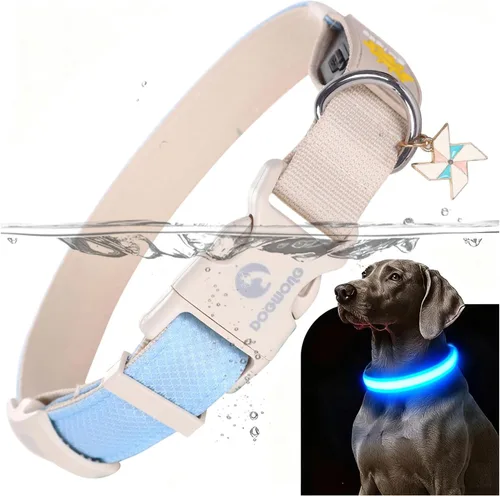 Miniatura 8 de DOGWONG Collar de perro con luz LED para Halloween, recargable e impermeable, collares de perro iluminados para otoño para caminar por la noche