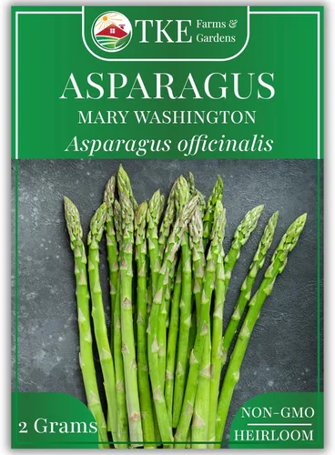 TKE Farms & Gardens - Semillas de espárragos Mary Washington para plantar, más de 85 semillas tradicionales sin OMG, tallos perennes tiernos con