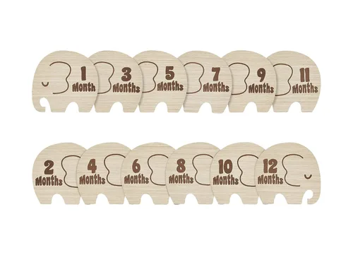 Kate & Milo Accesorios de hito de madera, discos de fotos mensuales para bebés, fotos de recuerdo de recién nacidos, regalo de padres nuevos y
