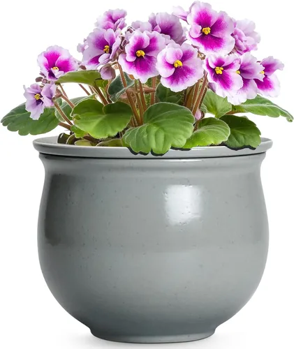 Miniatura 12 de Macetas de riego automático de 6 pulgadas para plantas de interior, macetas de cerámica violeta africana con maceta interior absorbente, maceta