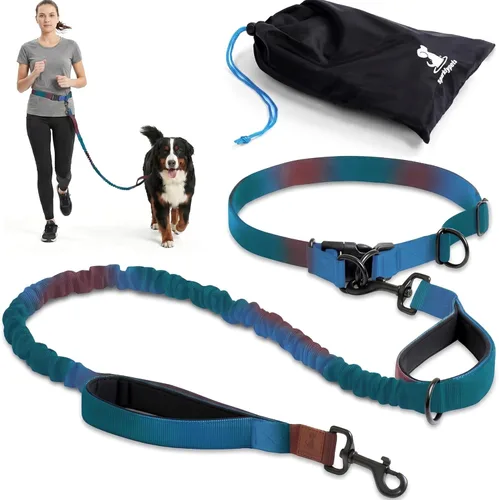Miniatura 14 de SparklyPets Double Bungee Waist 2 Dog Leash with Back Brace – Dual Dog Leash for Medium/Large Breeds – Running Belt Fanny Pack with Phone, Waste