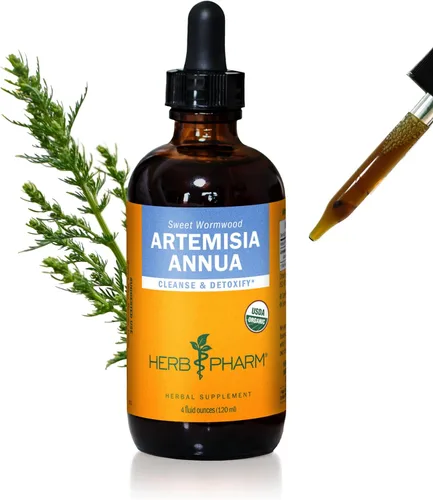 Miniatura 4 de Herb Pharm Artemisia Annua (Sweet Annie) Extracto de hierbas líquido orgánico certificado, 1 onza