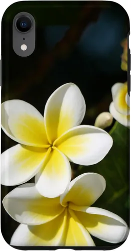 Miniatura 25 de iPhone 12/12 Pro Plumeria Flower - Carcasa amarilla