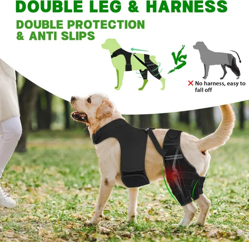 Miniatura 3 de Rodillera para perro para pierna trasera desgarrada, ajustable para pierna trasera con 6 estabilizadores, reduce el dolor, lesiones de ligamentos