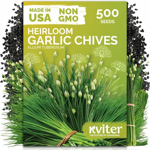 Miniatura 26 de KVITER 1000 semillas de quinua de cordero (Chenopodium Album) - Hierbas comestibles autóctonas, ideales para jardines de hierbas orgánicas