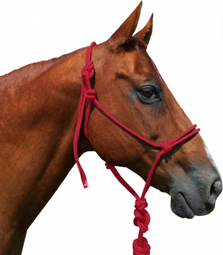 Miniatura 4 de Saddlesworld Cabestro de entrenamiento de cuerda para caballos con cuerda