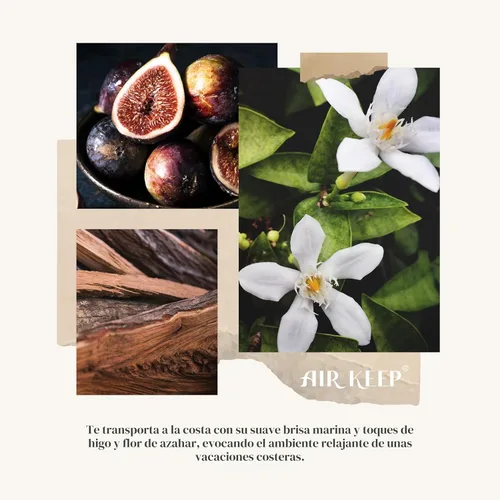 Miniatura 6 de Airkeep Juego de difusor de junco, 3.38 onzas líquidas (3.4 fl oz), difusor de aceite de niebla marina y sal marina con 8 varillas de caña, difusor