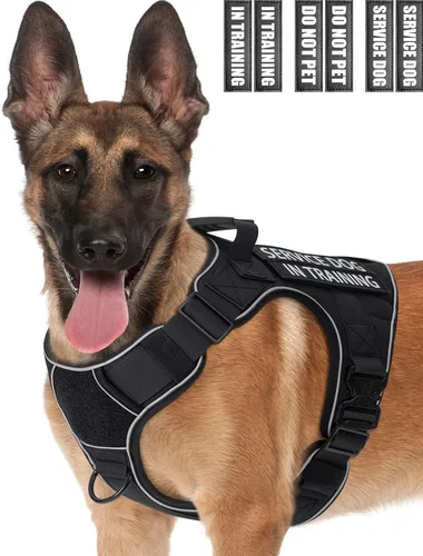 Miniatura 21 de Chaleco de perro de servicio para perros medianos, arnés de perro de servicio en entrenamiento con parches, chaleco ajustable para perros