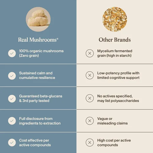 Miniatura 7 de Real Mushrooms Calm Lions Mane Cápsulas (90 unidades) – 400 mg extractos corporales fructíferos de melena de león orgánicos, 200 mg de Reishi