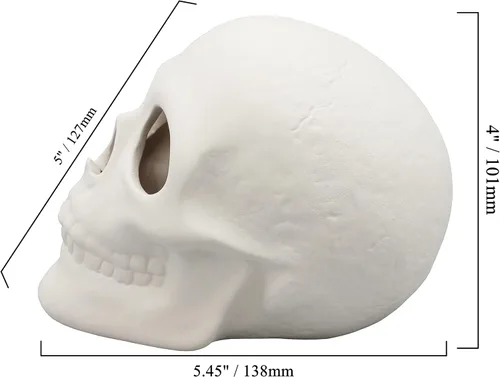 Miniatura 5 de Creative Hobbies Bisque de cerámica listo para pintar, calavera de 5 pulgadas de largo x 4 pulgadas de alto, incluye cómo pintar tu propio folleto