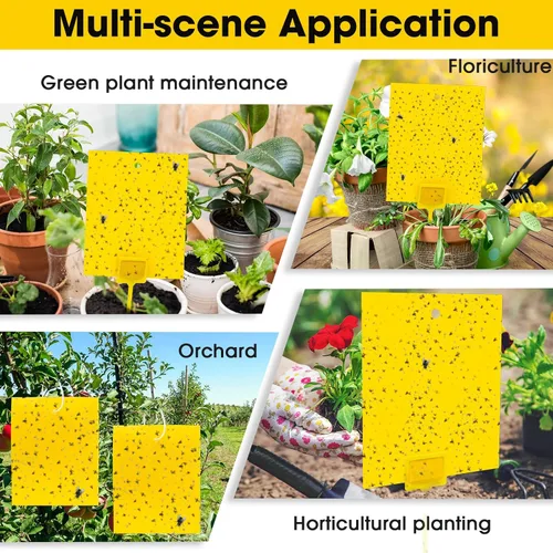 Miniatura 6 de Qualirey 200 trampas adhesivas amarillas de 7.87 x 9.84 pulgadas para mosquitos de plantas, trampas adhesivas de doble cara para moscas de la fruta