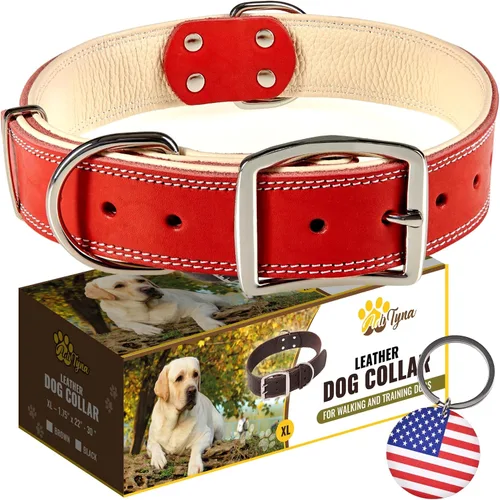 Miniatura 11 de ADITYNA Collar de perro de cuero rosa resistente para perros grandes, forrado con cuero suave, collar de perro para caminar, entrenar y senderismo