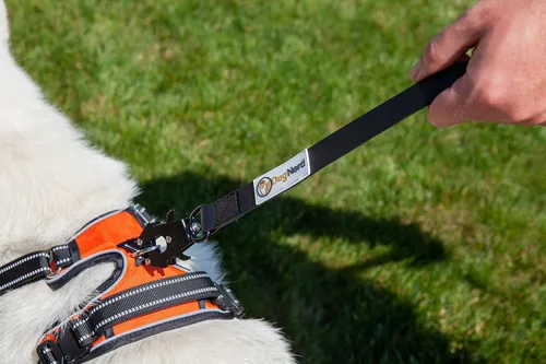 Miniatura 5 de Correa táctica de silicona resistente para perros de 6 pies con mosquetón de liberación rápida, correa de tráfico perfecta para perros grandes que