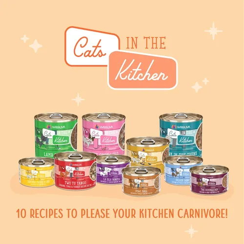 Miniatura 9 de Weruva Cats in The Kitchen, Kitty Gone Wild with Wild Salmon Au Jus - Alimento para gatos, lata de 6 onzas (paquete de 24)