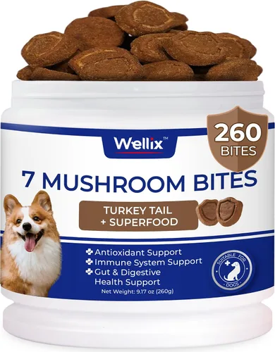 260 Bites - Hongo de cola de pavo para perros, inmune, intestino, piel, salud de las articulaciones, suplemento de hongos para perros - Cola de pavo