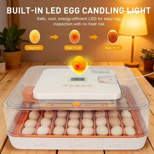 Miniatura 3 de Nest IV - Incubadora de 56 huevos para criadores, totalmente automatizada, control preciso de humedad y temperatura, separador de pollitos