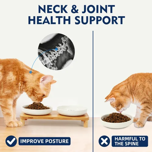 Miniatura 4 de DoogCat Cuencos elevados para gatos de interior – Mesa elevada de bambú para gatos con 2 platos de cerámica, altura ajustable