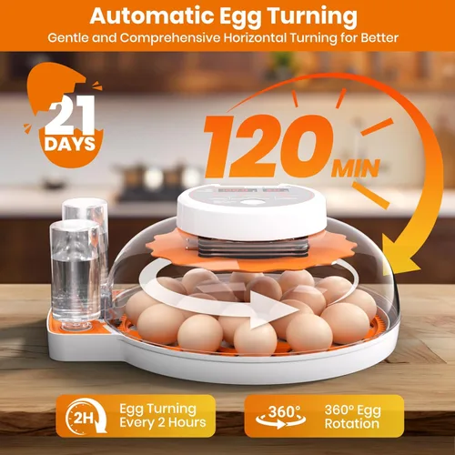 Miniatura 3 de Incubadoras para incubar huevos: capacidad de 18 huevos, girador automático de huevos, visualización de 360°, control de temperatura y humedad