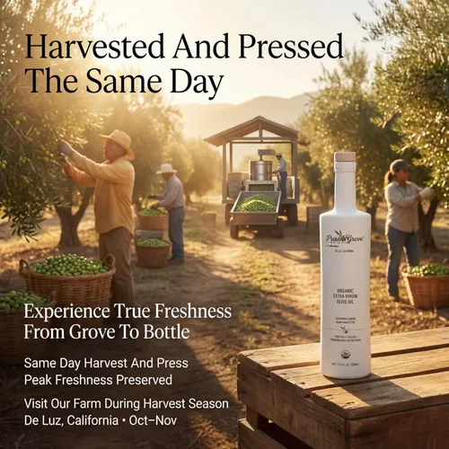 Miniatura 7 de Pura Grove Aceite de Oliva Virgen Extra Orgánico Prensado en Frío Grado Premium - Alto en Polifenoles - Cosechado a Mano y Cultivado en California