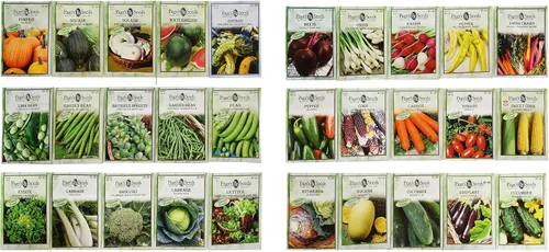Miniatura 7 de Juego de 20 semillas de verduras favoritas de primera calidad para el año actual, ideal para jardinería 20 semillas de verduras de lujo