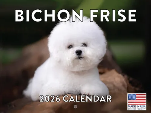Miniatura 209 de Calendario de pared mensual 2025 Great Dane de 12 meses, fabricado en Estados Unidos