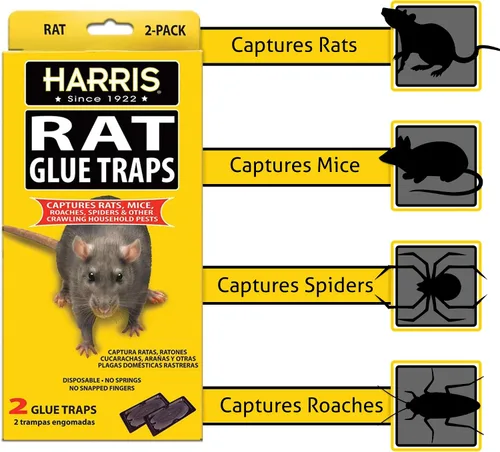 Miniatura 2 de Harris Trampas de pegamento para ratas, totalmente desechables (paquete de 2)