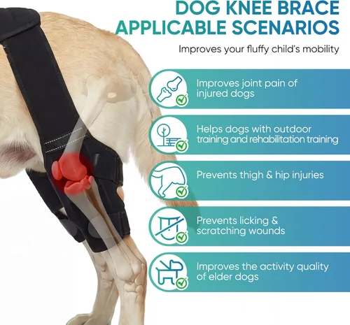 Miniatura 3 de Rodillera para perro para pierna trasera, pierna trasera, ACL, soporte ajustable para piernas de perro doble con estabilizadores, ayuda con desgarro