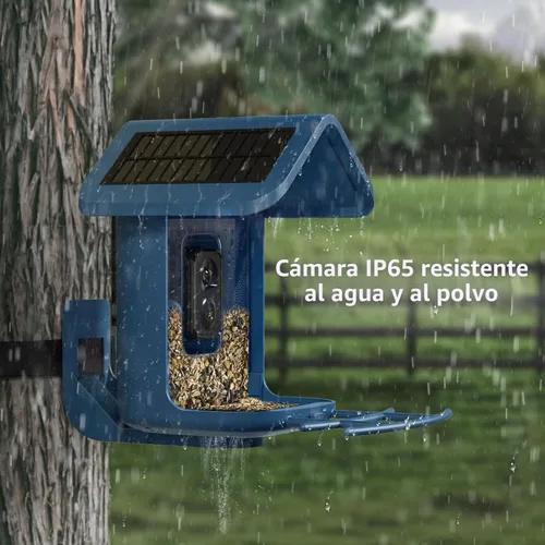 Miniatura 5 de Alimentador para pájaros con cámara con energía solar: Alimentador inteligente para pájaros con cámara de 2K de alimentación en vivo para el patio