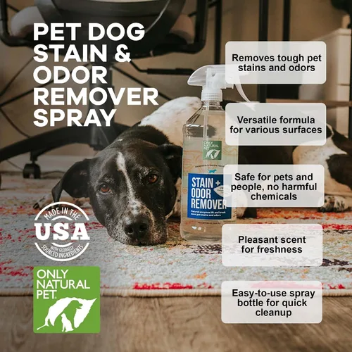 Miniatura 6 de Only Natural Pet - Removedor de manchas y olores con base en enzimas, fórmula derivada de plantas para perros – Funciona en madera dura, alfombra