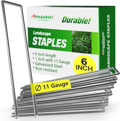AMAGABELI - Paquete de 500 grapas galvanizadas de 6 pulgadas, calibre 11, resistentes al óxido, estacas de jardín, estacas de cubierta de plantas,
