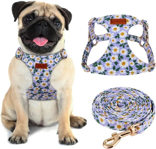 Miniatura 13 de CHEDE Arnés para Perro sin Tirones con Patrón Floral - Arnés para Perro Ligero y Suave, Arnés Ajustable para Perros Pequeños y Juego de Correa