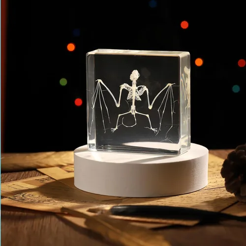 Espécimen de esqueleto de murciélago real en resina para educación científica en el aula, gran regalo para fanáticos de la taxidermia, cráneo
