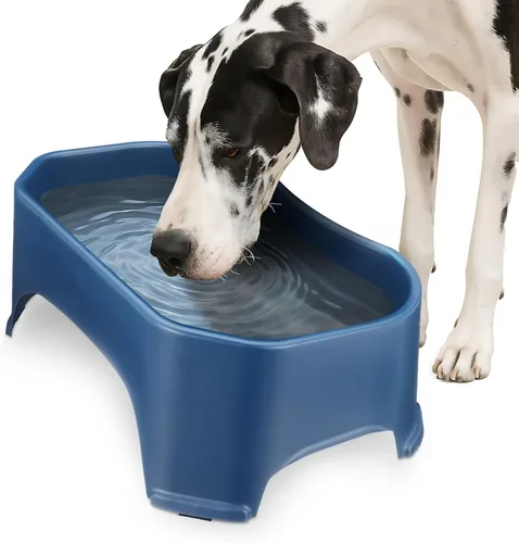 Miniatura 17 de Neater Pet Brands Cuencos para gatos de gran capacidad, cuenco de agua para gatos, reptiles, pollos, aves y animales pequeños, cuenco de comida