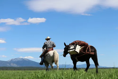 Miniatura 5 de TrailMax - Alforjas de lona para caballos y mulas; paquete de alforjas de lona de 24 onzas para sillas de montar Sawbuck o Decker; alforjas Sawbuck