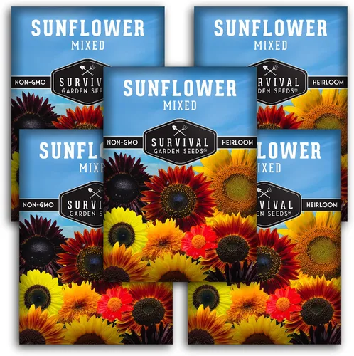 Miniatura 12 de Survival Garden Seeds - Mezcla de semillas de girasol populares para plantar - 2 paquetes con instrucciones para cultivar hermosas flores en tu
