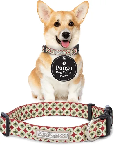 Miniatura 58 de Lucky Love Dog - Collar de perro ajustable con hebilla de fácil clic para los grandes, duradero y cómodo para perros machos y hembras, collar