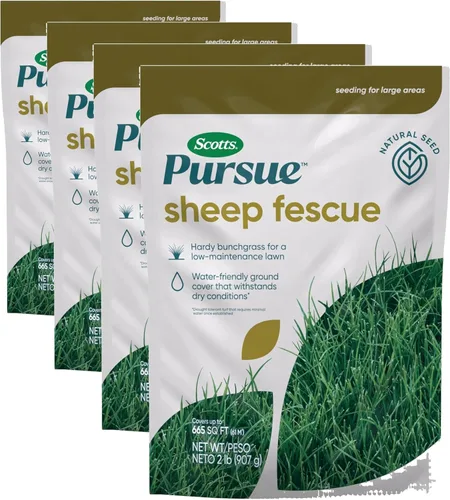 Miniatura 13 de Scotts Persigue el césped de trébol, rico en ingredientes naturales, 2 libras.