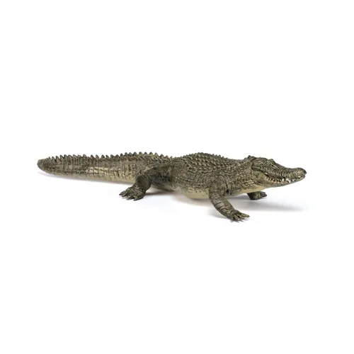 Miniatura 4 de Papo - Figura realista de cocodrilo - A partir de 3 años - Colección Wild Life - Reptiles educativos de pantano - Juguete de idea de regalo