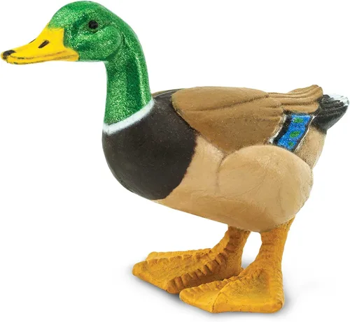 Safari Ltd. Figura de pato real pintada a mano, realista de 3 pulgadas, juguete educativo divertido para niños, niñas y niños a partir de 3 años