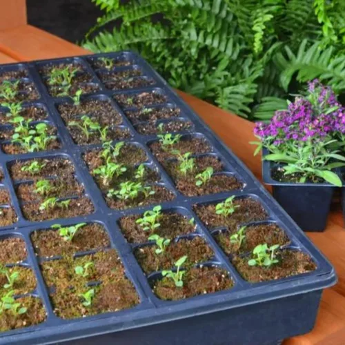 Miniatura 5 de Mosser Lee ML0003 SucSeed® Premium Seed Starter 244 pulgadas cúbicas (4L) Paquete de 1